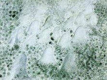 Haga click para ver la imagen ampliada 1963_08_study for deoxyribonucleic acid arabs circa 1963.jpg